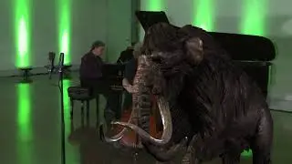 Music & Nature VI - The Elephant featuring Joel Quarrington