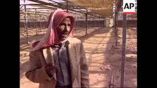 JORDAN: NEW PEACE TREATY WILL SOLVE FARMER'S WATER PROBLEMS