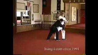 Xingyi Rooster plus fighting applications