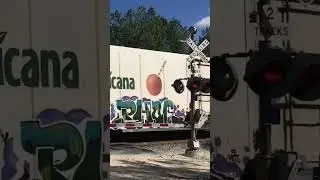 Tropicana Train Flies Past, See More JawTooth Shorts For The Best Train Videos On YouTube!