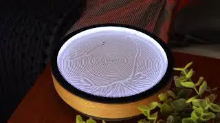 Mesmerizing Artwork with the Oasis Mini Kinetic Canvas - Watch a Koi Fish Come to Life