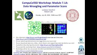 CompuCell3D WS 2025: 7.1A: Data Wrangling and Parameter Scans [Lorenzo Veschini] August 5, 2025