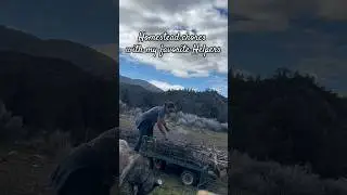 Cleaning Up the Ranch After the Wind | Real Life, Family Help & a Dog Who Supervises