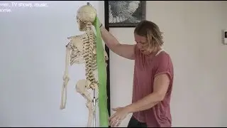 Advanced Anatomy Yoga Teacher Training with Arielle Nash at Samahita Retreat