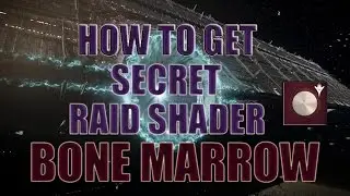 Destiny: How to Get Secret Raid Shader 
