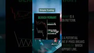 Simple Trading Episode 41 | Simple Investing Basics