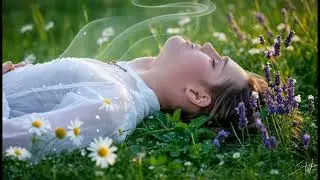 Dreamscape Stories: peaceful meadow at sunrise