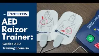 How the Raizor Trainer Works