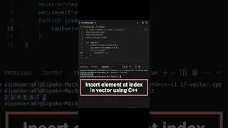 Insert Element at a Specific Index in a Vector Using Iterators | C++  