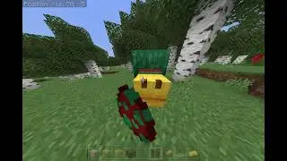 Minecraft1.20: All My Favorite New Features!