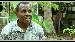 Immersion in the Goliath farm, a farm belonging to a young entrepreneur from Anjouan