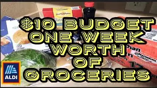 Groceries For 1 Week With Only $10 At Aldi Part 2 | $10 Budget | Second Try