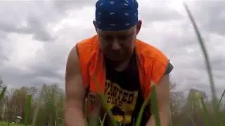 Straight Up Metal Detecting : 