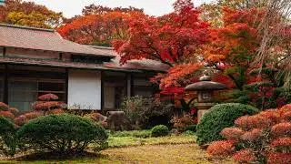 Asian Fusion Music \\ Japan \\ Part I