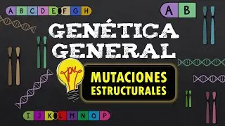 🧬GEN&Eacute;TICA GENERAL 📌MUTACIONES ESTRUCTURALES  📌 MUTACIONES (Anomal&iacute;as) CROMOS&Oacute;MICAS - Resumen