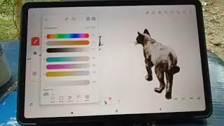 Flipaclip, part2 - Frame by frame, color by color. Still in progress.