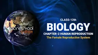 NCERT | Class-12th | Biology | Chapter-2 | Human Reproduction | Topic-The Female Reproductive System