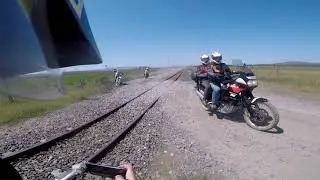 Darling Clips