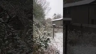 Wintry weather (it was actually still autumn)