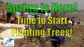 Spring is Here... Time to Start Planting Trees
