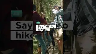 Hiking rules you must follow. #hiking #shorts #shortvideo  #forest #trekking