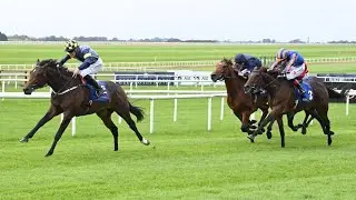 Deepone runs rivals ragged in Beresford Stakes - Racing TV