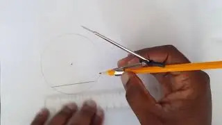 Theorem 1 Investigation