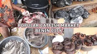 BIGGEST CAT FISH MARKET IN BENIN CITY DRIED RIVER FISH ELECTRIC FISH STARCH BANGA PEPPER SOUP ITEM