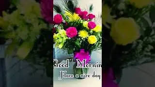 Good morning video status ll morning pictures WhatsApp status short videos 👍 or subscribe