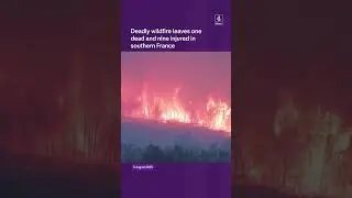 Deadly wildfire leaves one dead and nine injured in southern France