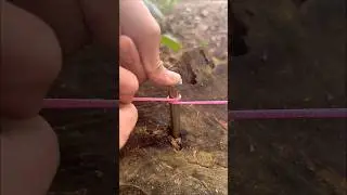 Simple and practical knot!