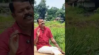 അനിൽ പനച്ചൂരാന്റെ കവിത | എന്റെ വാനമ്പാടിക്ക് | Anil Panachooran | Ajayghosh Naduvil | 