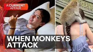 Monkey encounter turns ugly in Bali | A Current Affair
