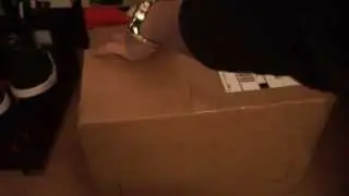 Packershoes.com Unboxing Reebok 