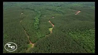 940+/- acres - McNairy County, TN - Wolf Pen Rd