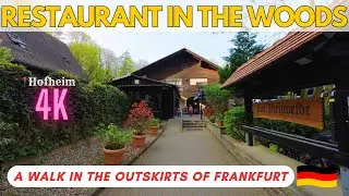 Walking Through the Woods in a Town Near Frankfurt, Germany 🇩🇪 Hofheim Am Taunus