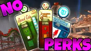 BLACK OPS 2 ZOMBIES 