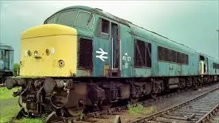 Trains in the scrap yard