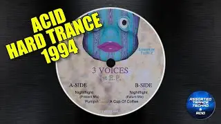 3 Voices - Nightflight (Present Mix) [Rainltd.] 1994 [Acid Hard Trance]