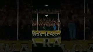 Ultras Barito 1988 #short #suporter