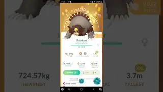 Эволюционируйте Урсаринга в Урсалуну СЕГОДНЯ! PSA 17 октября 2024 года! Pokemon Go! #pokemon #pok...