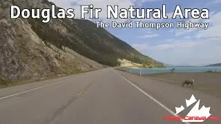 2023 Season - E03 (redux) - Douglas Fir Natural Area - David Thompson Hwy