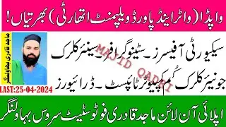 WAPDA JOBS 2024 OTS