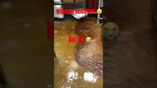 Accident with oil in kitchen 😭🙏#shorts #viral #shortsvideo ❤️