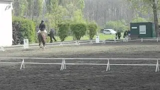 Reitertreffen 12.April - Seicarla (: