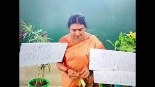 Mjp-kondapalli PBL Created by our students,Organiser Smt Mayuri madam 