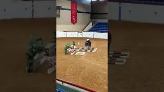 World Champion APHA World Show Yearling In Hand Trail