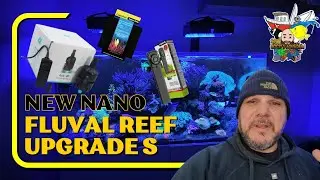 Повысьте уровень своего мини-рифового аквариума: идеи для любителей Fluval Evo Nano Reef