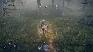 Elden Ring Nightreign: That Poor Lion