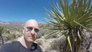 Hiking The Moenkopi Trail At Red Rock Canyon - Las Vegas